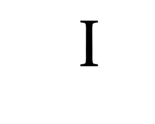ssip white web